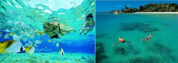 Snorkeling(norkel Dal): Scuba Diving'in tpsz versiyonu... Su alt dnyasn en kolay yoldan kefetmek istiyorsanz, takn norkelinizi, paletlerinizi kurs yok eitim yok... Yeni dnyalara daln.