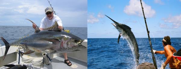 Fishing (deep sea): Ton baln gerek ortamnda grmeye ne dersiniz? O derin maviye bakarken huzuru hissedin. zor doa koullar ve koca balklarla mcadele edin...