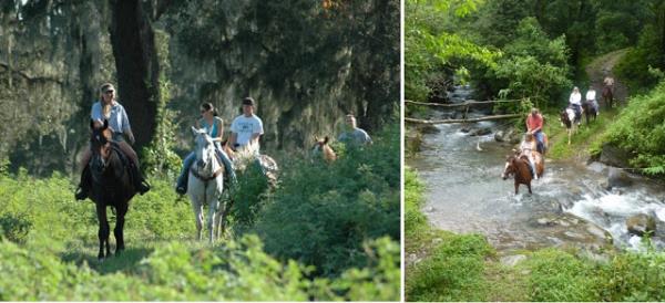 Horsebackriding : Dmdz ovalarda, ormanlarda, nehir kenarlarnda hatta nehrin iinde at stnde olmaya ne dersiniz? Yeryznn gizli patikalarn kefetme olana sunan bir spor. ehrin grltsnden kurtulup kendini doann kucana atmak isteyenler iin...