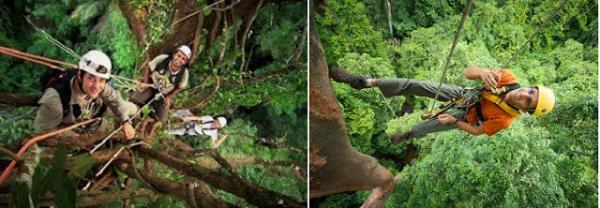 Canopy Climbing (Aa Trman) : Aalarn arasnda yemyeil bir ormann iinde Tarzan&#8217;n nasl yaad konusunda fikir sahibi olmanz salayacak bir macera... Rehberler ile macerann iine daln! Upuzun aalarn doruklarnda heyecan ve macerann zirvesi...