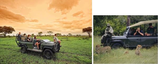 Wildlife Safari: Afrika&#8217;da vahi yaam kefetmek istiyorsanz, zor koullarda ve tehlike dolu bir macera isteyenler iin... Muhteem manzaralar ve heyecan garanti, tehlike yan banzda...