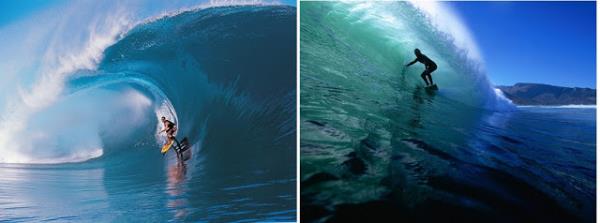 Surfing (Dalga Srf): Dalgalar krld noktada yakalayn! Doru rzgar ile dalgalara meydan okuyun... Kpklerle dans edin... Mavi derinliklerde suyun gc sizi saracak... Kuzey California sahilleri srf iin en popler yer...