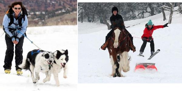 Skijoring : Gzel manzaral blgelerde kayak yapmaktan holanr msn? Brakn kpekler yada atlar seni ekerek rehberlik etsin... Hayvanlar en az outdoor aktiviteleri kadar seviyorsan karlmayacak bir deneyim...