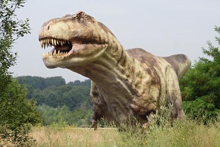 <p>T-Rex'in gl enesiyle bir srkta 245 kg et koparabildii biliniyor.</p>  Liverpool niversitesi'nden bilimadamlarnn ''Biology Letters'' dergisinde yaymladklar bilimsel makaleye gre, T-Rex'in bir sr Mississippi timsahnn tam 10 katna edeer. T-Rex, tek bir die bir filin arl kadar, yaklak 6 ton civarnda kuvvet uyguluyor.