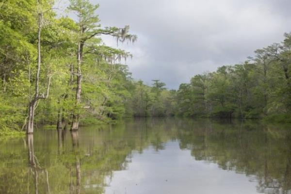 Meri Nehri: Sonbaharda nehir kysnda keyifli vakit geirmek isteyenler iin Meri Nehri bambaka bir atmosfer sunuyor.