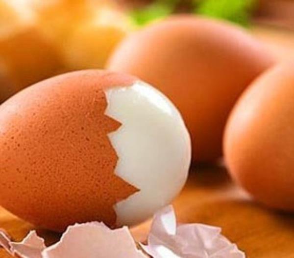 Uzun sre halanan yumurta uzun zamanda tlecei iin vcudun harcad enerji miktar yumurtadan daha fazladr. Halanm yumurta bu yzden ok iyi bir diyet yemeidir.