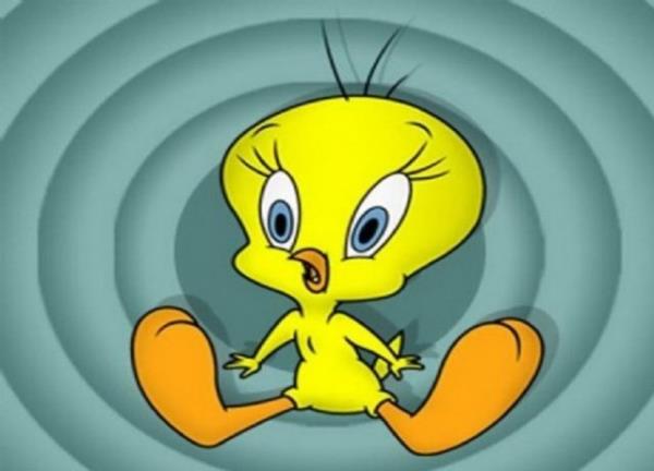 Tweety, sanlann aksine erkektir