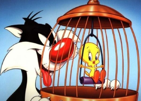 Sanlann aksine Nokia bir ehir ismidir, dnyada 4300 farkl din vardr, izgi film karakteri Tweety erkektir ve daha neler neler...   <p><b>te sizi ok artacak ilgin bilgiler...</b></p>