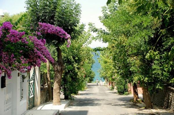 <br><b>Doal Gzellikler</b></br>  Boaz'n gzellii bir yana dursun, baka doal gzelliklerin de yeridir stanbul. Balcalarn Adalar, Belgrad Ormanlar, amlca, Yldz Park, Glhane Park, Anadolu ve Rumeli Kava, Polonezky, Kilyos olarak sayabiliriz.