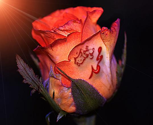 Berrak, iene lezzet veren, sersemletmeyen ve sarho etmeyen ikileri vardr.&#8221; Saffat 46, 47