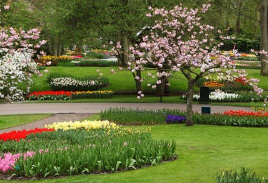 &#8220;O insanlarn etrafnda yle lmsz gen nedimler dolar ki, onlar grdnde etrafa salp dalm inciler sanrsn.&#8221; nsan 19, Tur 24