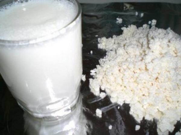 Laktoz intolerans olan, mide problemleri olan bireyler tarafndan da rahatlkla tketilebildii iin kymetlidir. erii zengin mineral, vitaminlerle dolu kefir scak yaz gnlerinde sv almn arttrmak iin kullanlabilecek serinletici bir iecektir. Kefir; Baklk sistemini glendirir, mide barsak florasn dengeler, hazm kolaylatrr, kabzl nler, kansere kar koruyucudur, yksek tansiyon, kolesterol drlmesinde etkilidir.