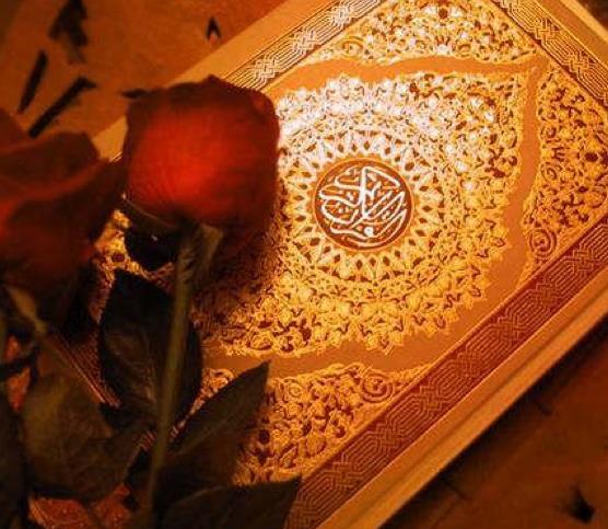 Allah Tel tm insanla yle seslenmektedir:&#8232;    &#8220;Rabbinizden size ne indirilmise ona uyun, Allah ile aranza koyduunuz velilere uymayn. Ne kadar az tezekkr ediyor; bilgilerinizi ne kadar az kullanyorsunuz.&#8221;(Araf 7/3)    &#8220;te bu, indirdiimiz bereketli Kitaptr. Ona uyun ve kendinizi koruyun ki ikram gresiniz.&#8221;(En&#8217;m 6/155)