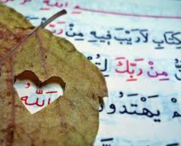 Nebmiz son ayetin indirildii gn tm insanlara hitap ederek, &#8220;Ben size Allah&#8217;n kitab olan Kur-an&#8217; brakyorum. Ona smsk sarlrsanz azgnla dmezsiniz&#8221; demi, tm insanlara Kur-an&#8217; braktn ilan etmi ve ksa bir sre sonra vefat etmitir.&#8232;Allah Tel, indirdii son ayetinde yle buyuruyor: