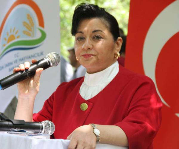 Yalova Valisi Esengl Civelek Krklareli Valiliine