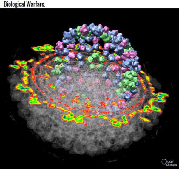 <b>5. Biyolojik sava:</b> Tm yaam annda yok etmekten daha kt bir ey varsa o da Chimera virs yaymak ve yavaa byyen zdrapla rmeyi izlemektir.