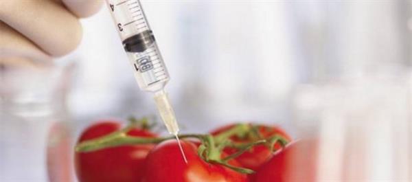 GDO (Genetii Deitirilmi Organizma)