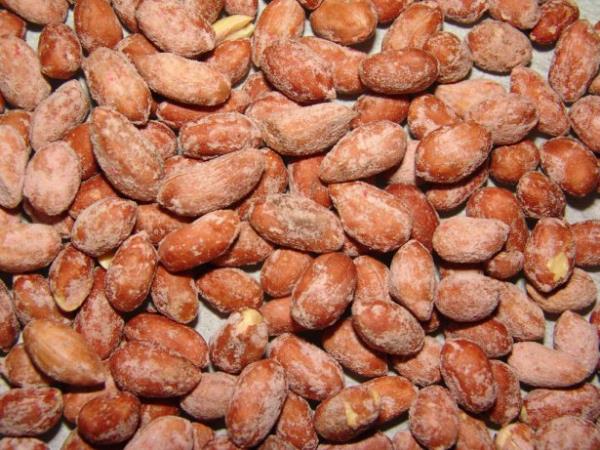 <br><b>Fstk gibi bir karacier:</b></br>   Karacier tkanklklar sk et yiyenlerin kbusu. Fstk, buradaki tkankl ayor, karacieri temizliyor. Barsaklar da temizleme zelliine sahip bu yemi, mideye de olduka iyi geliyor.