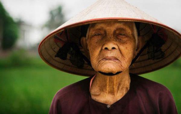 Vietnam'dan bir pirin iftisi