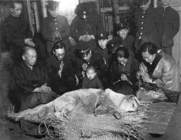 Hachiko defin treninden nce-1935