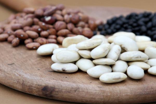 Kalp ve damar tkanklklarn nler.