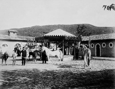 Kathane Haras havuzu