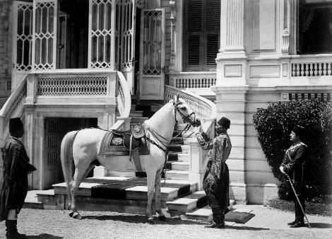 Yldz Saray girii 1880-1893, Beikta