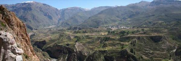 Colca Kanyonu Peru