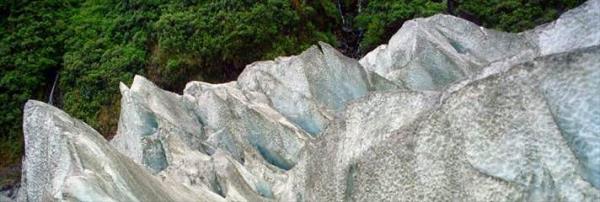 Franz Josef Buzulu Yeni Zelanda