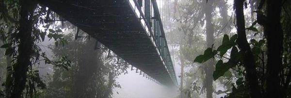 Monteverde Bulut Orman Rezervleri Kosta Rika