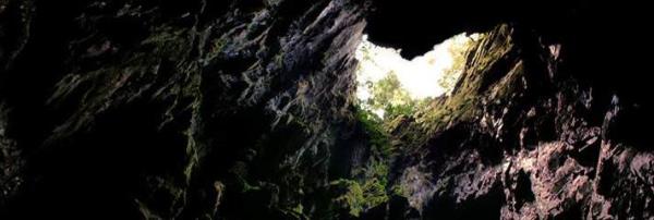 Gunung Mulu Milii Park Malezya