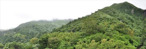 El Yunque Ulusal Orman Porto Riko