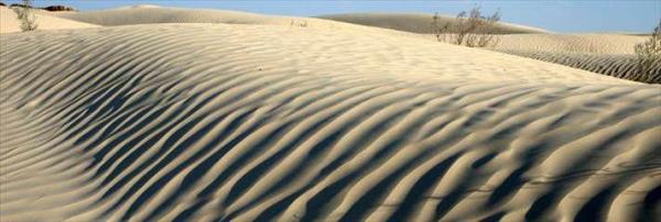 Sahara l Cezayir, at, Msr, Libya, Mali, Moritanya, Fas, Nijer, Bat Sahara, Sudan, Tunus