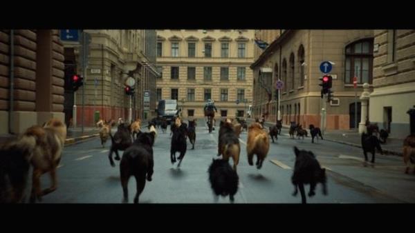 WHITE GOD (Fehr isten)