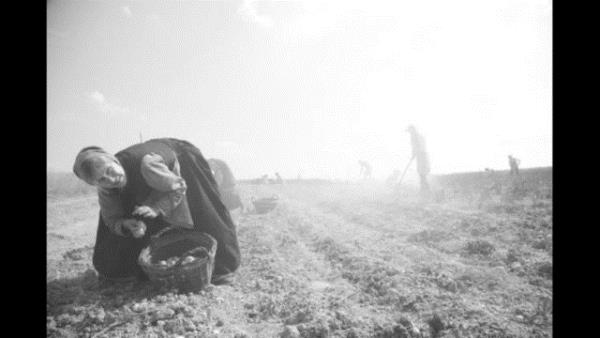 HOME FROM HOME - CHRONICLES OF A VISION (Die andere Heimat - Chronik einer Sehnsucht)