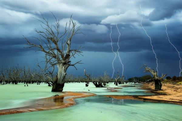 Lake Menindee, Australia by Julie Fletcher