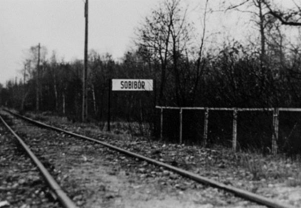 Auschwitz-Birkenau'dan farkl olarak Sobibor'daki Yahudilerin zorunlu ii olarak alarak hayatta kalma gibi bir anslar yoktu. Tahminlere gre, Sobibor'da 1942-1943 yllar arasnda 250 bin kii ldrld.