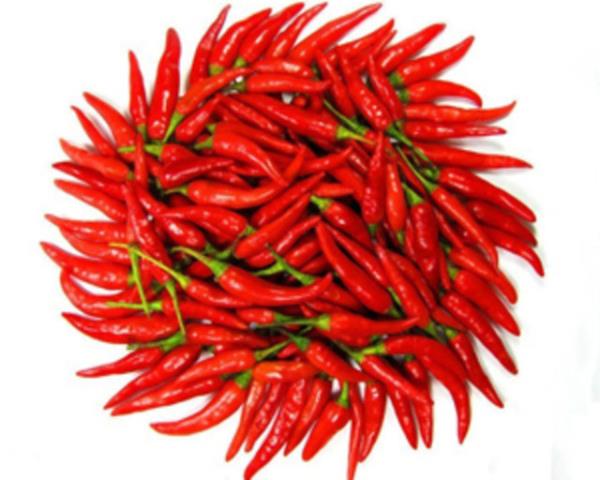 <b>KIRMIZIBBER:</b> indeki C vitamini ve Beta karoten gibi vitaminler ve dier fitokimyasallar, baklk sistemini glendiriyor. ok az sebzede olan E vitaminini de ierir.