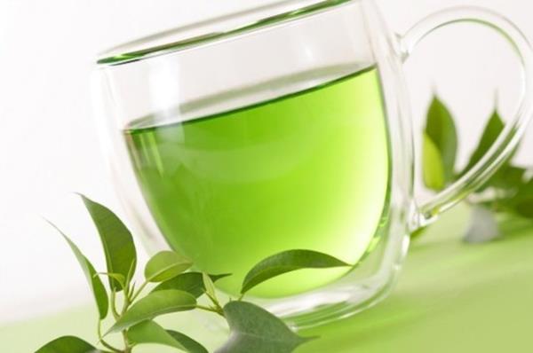 <b>YEL AY:</b> En nemli bitkisel antioksidanlardan katein ve polifenol ierdii iin immun sistem zerinde ok etkilidir, hatta grip virsnn vcutta yaylmasn nledii saptanmtr.