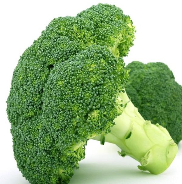 <b>BROKOL:</b> erdii sulforan maddesi ile antioksidan aktivite gsterir ve baklk sistemini uyarr. C vitamin ve E vitamini bir arada ierdii iin bakl kuvvetlendirir.