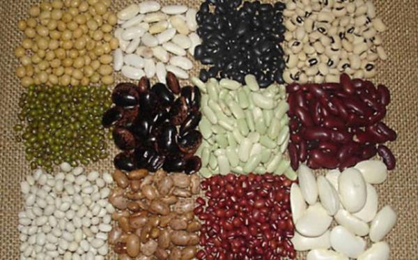 8. Kurubaklagiller: Doumdan itibaren 2 yana kadar olan dnem bebein byme ve gelimesinin en hzl olduu dnemi oluturuyor. Nohut, mercimek, kuru fasulye gibi kurubaklagiller ise son derece kaliteli bitkisel proteinler olarak dikkat ekiyor.