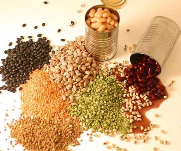 Hcre yenilenmesi, doku onarm, kan yapm, baklk sistemi gibi metabolizmada balca birok olayn gereklemesine zemin oluturacak bileimi bnyesinde barndran kurubaklagilleri annelerin emzirme dneminde haftada 2-3 kere tketmesi ok nemli.