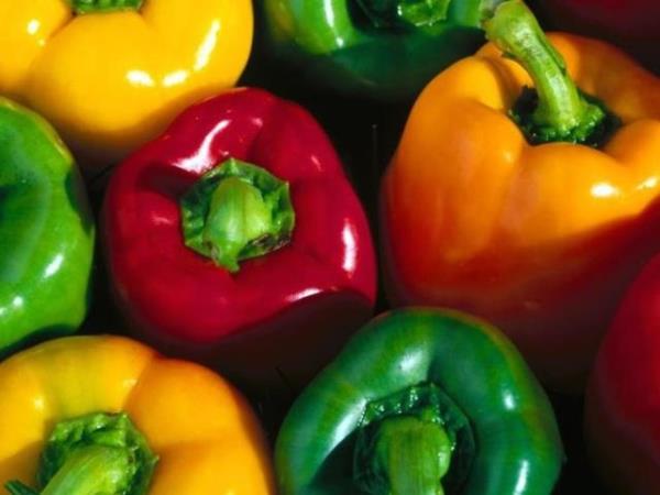 9. Renkli Biberler: Krmz, yeil, sar biberler ieriindeki yksek A vitamini seviyesi ile birlikte bebein grme duyusu zerinde olumlu etkilere sahip.
