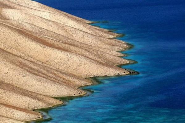 Koyun Gller Milli Park Band-Amir