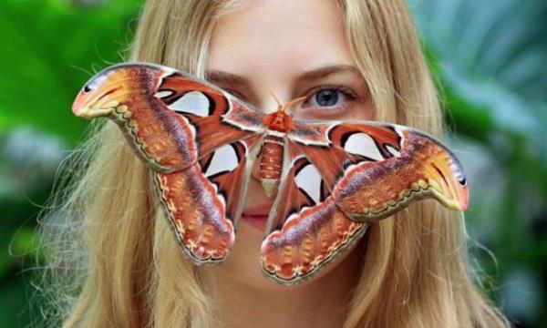 Brno Botanik Bahesi Masaryk niversitesi, ek Cumhuriyeti