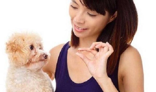 inlilerin kpek yedii bilinen bir olay. Son yllarda inliler kpekleri yemekten ok dier dnyallar gibi evcil hayvan olarak bakma eilimine girmi durumda.