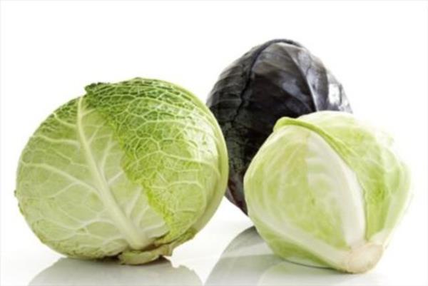 Kansere kar koruyucu ve bakl glendirici etkileri ile dikkat eken lahanagilleri mevsiminde ister sebze yemei olarak isterseniz i veya buharda piirerek salatalarnzda tketebilirsiniz.