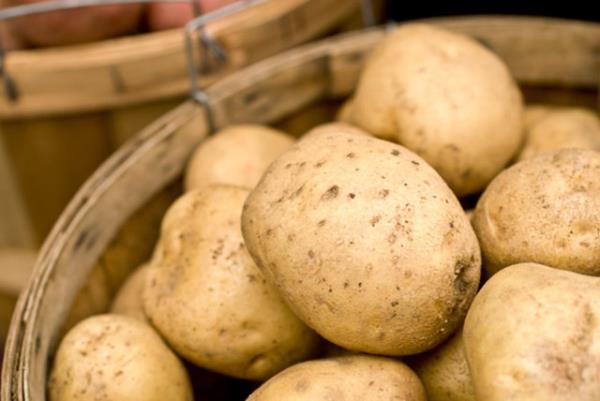 Etkili bir virs yok edici ve baklk sistemi glendiricisidir.