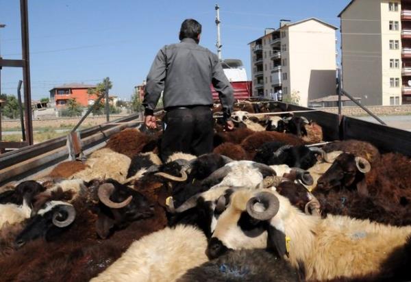 badetlerdeki bu zelliklerin birbirinden ayr dnlmesi mmkn deildir. Her ibadetin bir yapl ekli vardr. Hayvann kesilmesi kurbann rkndr.