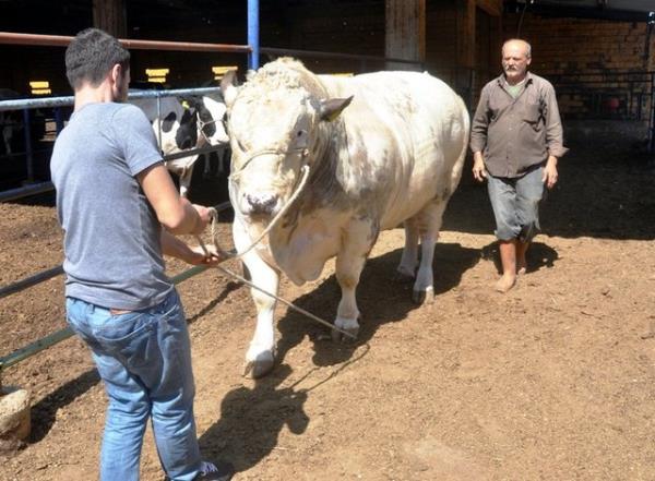 Fakat temel ihtiyalar ve borlar iin ayraca para haricinde bu kadar bir mala sahip olmayan kiinin kurban kesmesi gerekmez.